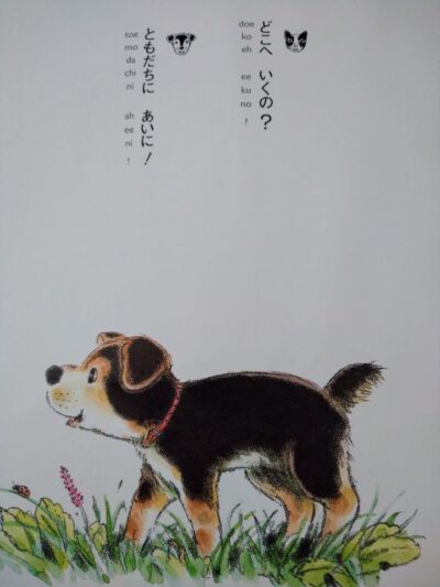 犬画像