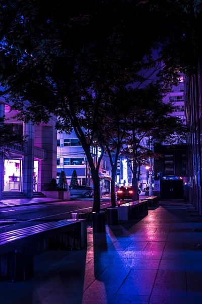 夜景画像